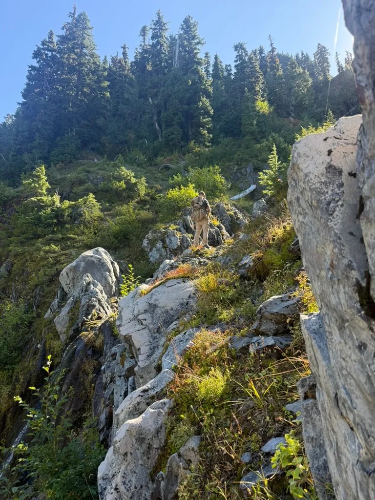 A hiker with a pack picking his way up a steep, rocky slope between pale boulders and green brush, with tall firs above.